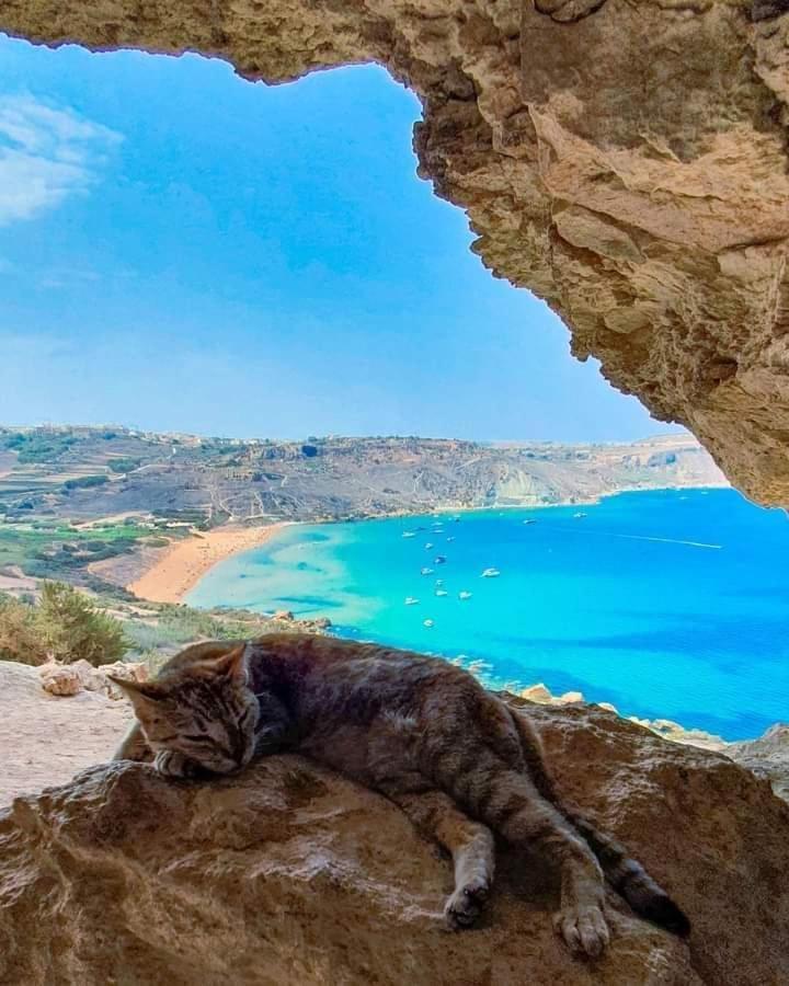 Farmhouse Tal Kaptan Kerċem Εξωτερικό φωτογραφία